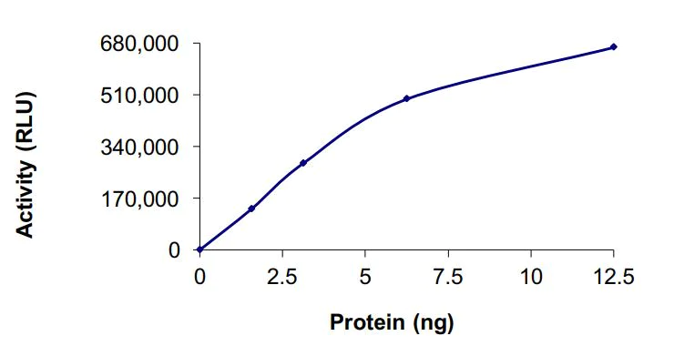Functional Studies - Recombinant human GST-Annexin-4/ANXA4-PKN fusion protein (Active) (AB268348)