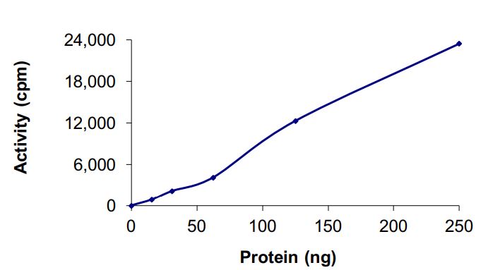 Recombinant human GST-EML4-ALK protein (Active)
