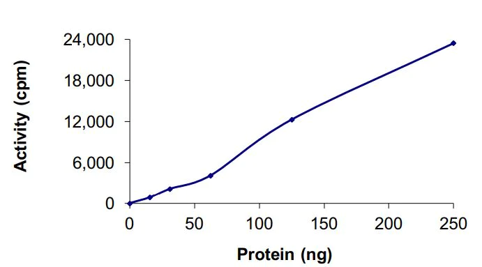 Functional Studies - Recombinant human GST-EML4-ALK protein (Active) (AB268523)