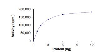 Recombinant human GST-FAM131b-BRAF fusion protein (Active)
