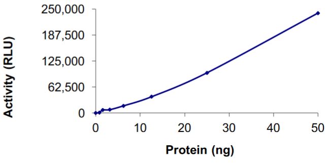 Recombinant human GST-KIF5B-ALK fusion protein (Active)