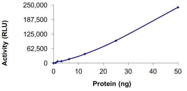 Functional Studies - Recombinant human GST-KIF5B-ALK fusion protein (Active) (AB268705)