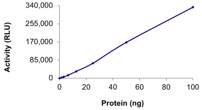 Recombinant human GST-KIF5B-Met (c-Met) fusion protein (Active)