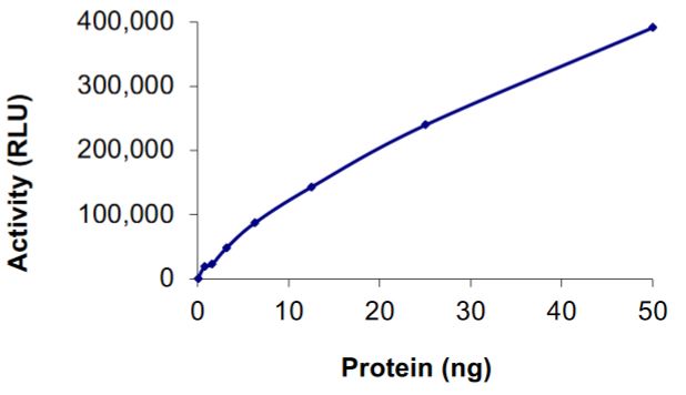 Recombinant human GST-KIF5B-Ret fusion protein (Active)