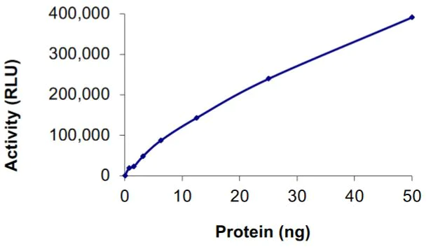 Functional Studies - Recombinant human GST-KIF5B-Ret fusion protein (Active) (AB268707)