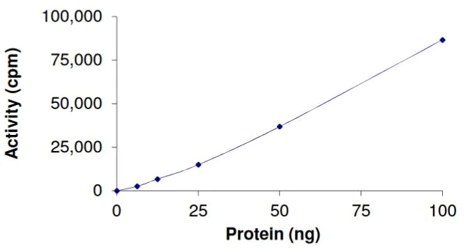 Functional Studies - Recombinant human GST-Nucleophosmin-ALK fusion protein (Active) (AB268820)