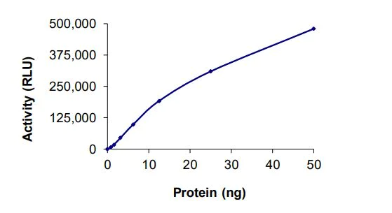 Functional Studies - Recombinant human GST-Striatin-ALK fusion protein (Active) (AB268984)