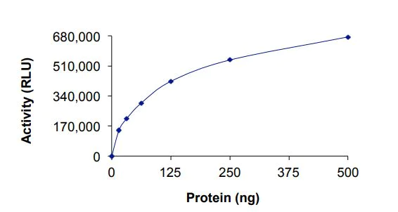 Functional Studies - Recombinant human GTPase HRAS protein (Active) (AB268643)
