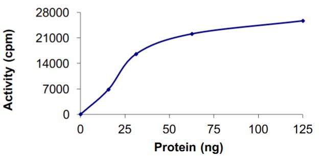Functional Studies - Recombinant human GWL protein (Active) (AB268748), expandable thumbnail