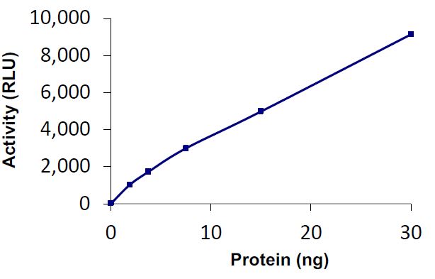 Functional Studies - Recombinant human HAUSP / USP7 protein (Active) (AB269127), expandable thumbnail