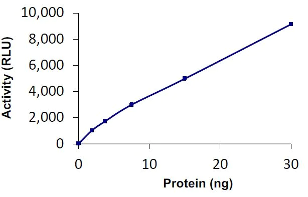Functional Studies - Recombinant human HAUSP / USP7 protein (Active) (AB269127)