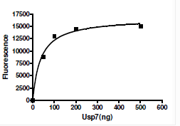 Functional Studies - Recombinant human HAUSP / USP7 protein (His-DDDDK tag N-Terminus) (AB198464)