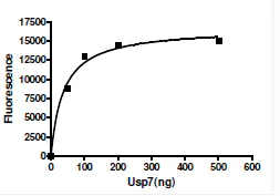 Functional Studies - Recombinant human HAUSP / USP7 protein (His-DDDDK tag N-Terminus) (AB198464)