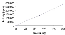 Functional Studies - Recombinant human Hck protein (AB60865)
