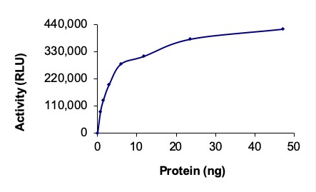 Functional Studies - Recombinant human Hck protein (AB60865)