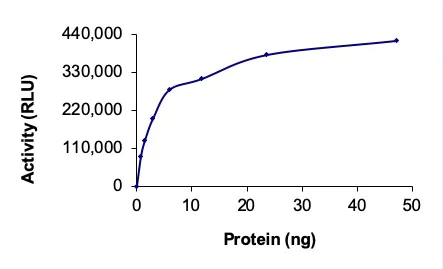 Functional Studies - Recombinant human Hck protein (AB60865)