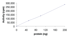 Functional Studies - Recombinant human Hck protein (GST tag N-Terminus) (AB60865)
