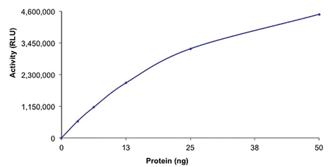 Functional Studies - Recombinant human HDAC1 protein (AB101661)