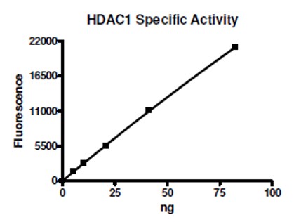 Functional Studies - Recombinant human HDAC1 protein (AB104121)