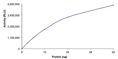 Functional Studies - Recombinant human HDAC1 protein (GST tag C-Terminus) (AB101661)