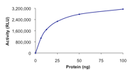 Functional Studies - Recombinant human HDAC1 protein (GST tag C-Terminus) (AB101661)