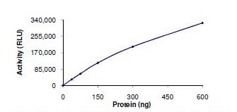 Functional Studies - Recombinant Human HDAC11/HD11 protein (AB101113)