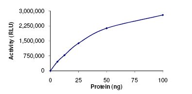 Functional Studies - Recombinant Human HDAC2 protein (AB101662), expandable thumbnail