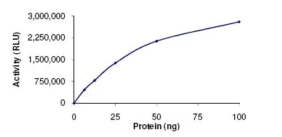 Functional Studies - Recombinant Human HDAC2 protein (AB101662)