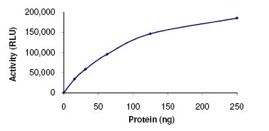 Functional Studies - Recombinant human HDAC3 protein (AB101663)