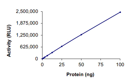 Functional Studies - Recombinant human HDAC3 protein (AB101663)