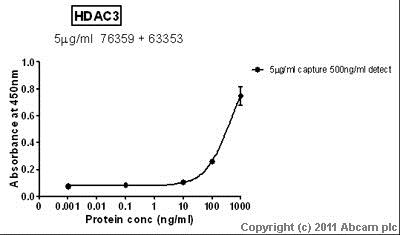 Sandwich ELISA - Recombinant Human HDAC3 protein (AB82071)