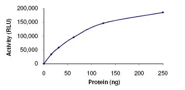 Functional Studies - Recombinant human HDAC3 protein (AB101663)