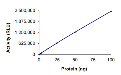 Functional Studies - Recombinant human HDAC3 protein (AB101663)