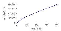 Functional Studies - Recombinant human HDAC4 protein (AB104029), expandable thumbnail