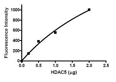 Recombinant human HDAC5 protein
