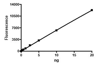 Functional Studies - Recombinant human HDAC5 protein (GST N-Terminus + His tag C-Terminus) (AB271803)