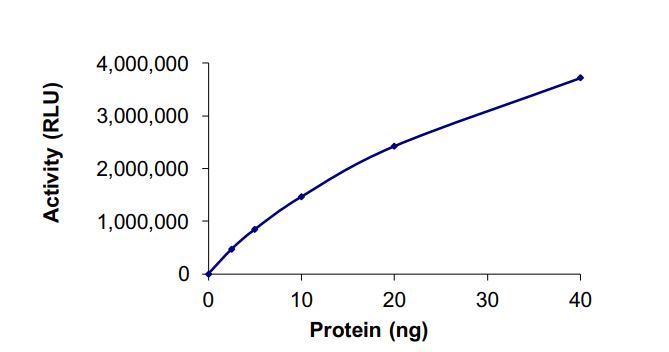 Functional Studies - Recombinant human HDAC6 protein (Active) (AB268616), expandable thumbnail