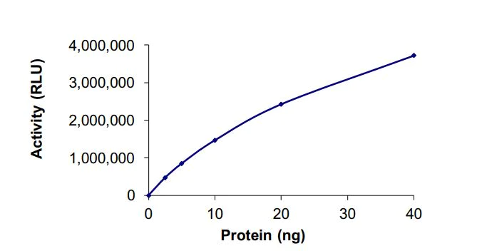Functional Studies - Recombinant human HDAC6 protein (Active) (AB268616)