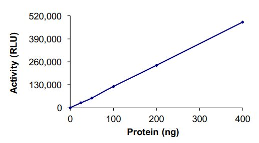 Recombinant human HDAC7 protein
