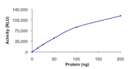 Functional Studies - Recombinant human HDAC7 protein (AB101660)