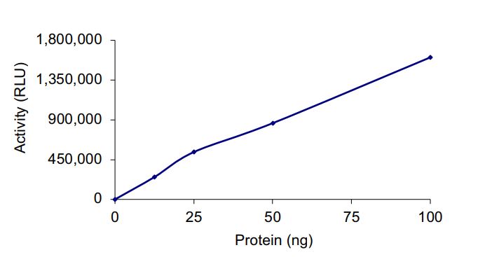 Functional Studies - Recombinant human HDAC8 protein (Active) (AB268619), expandable thumbnail