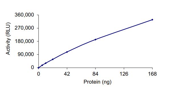 Recombinant human HDAC9 protein (Active)