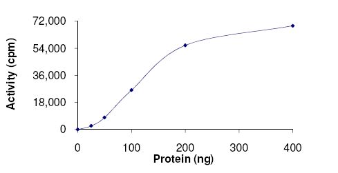 Functional Studies - Recombinant human Heme-regulated inhibitor protein (AB131665)
