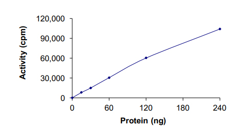 Recombinant human Heme-regulated inhibitor protein