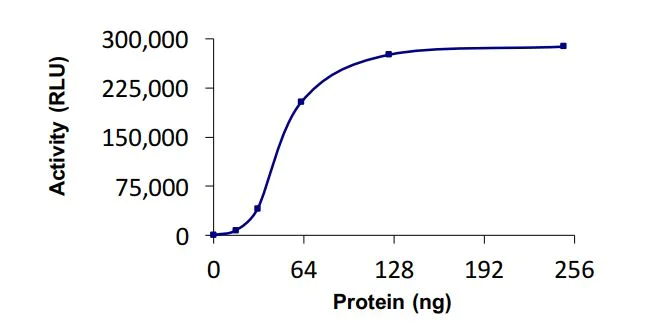 Functional Studies - Recombinant human HERC4 protein (Active) (AB268635)