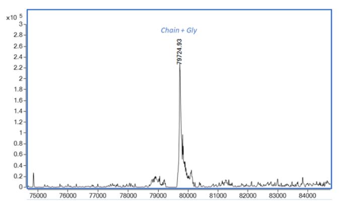 Mass Spectrometry - Recombinant human HGF protein (Active) (AB259401), expandable thumbnail