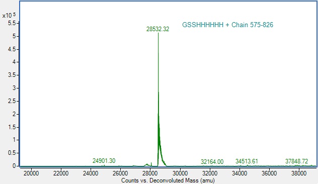 Mass Spectrometry - Recombinant Human HIF-1 alpha protein (His-tag) (AB309958), expandable thumbnail