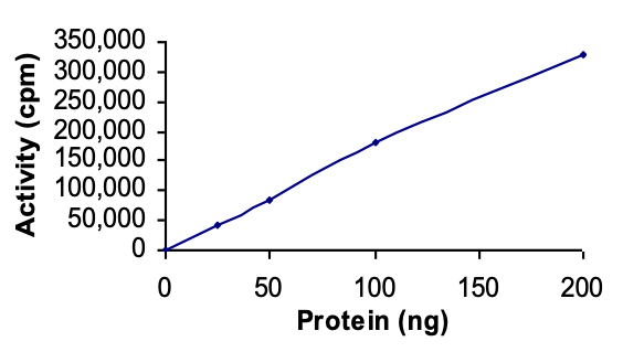 Recombinant human HIPK1 protein