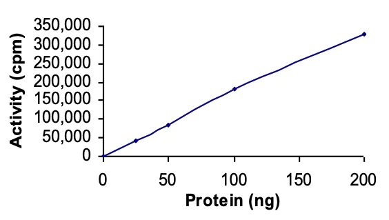 Functional Studies - Recombinant human HIPK1 protein (AB60867)
