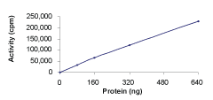 Functional Study - Recombinant human HIPK1 protein (AB60867)